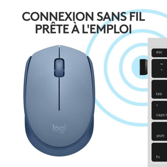 Logitech M171 Wireless mouse 2.4 GHz with mini -USB mini -receiver, optical monitoring, ambidextrous - blue gray
