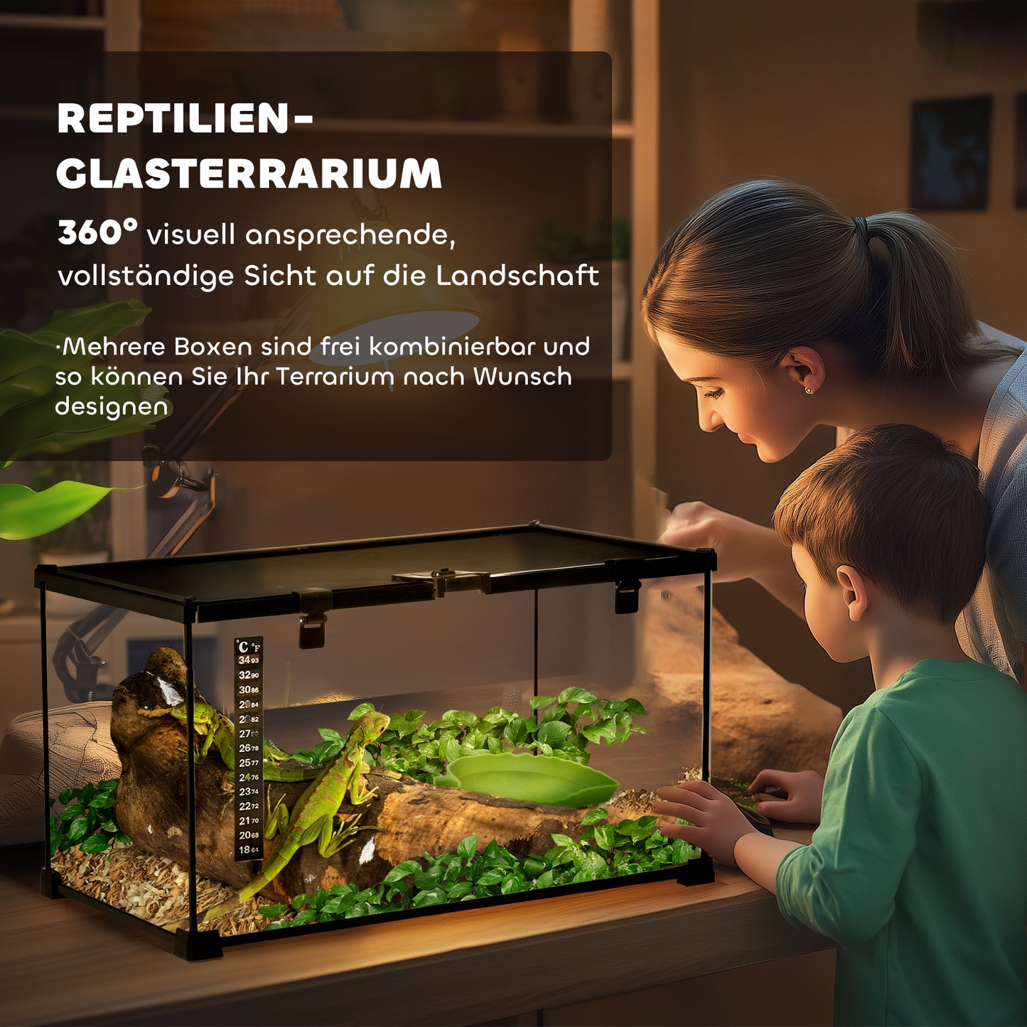 PawHut Reptilienbox Terrarium, inkl. Streifentermometer, Fütterungsklappen, 50 cm x 30 cm x 25 cm, Glas + Metall, Schwarz
