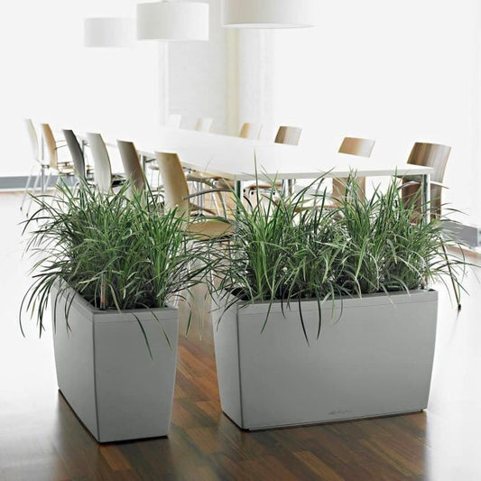 LECHUZA Cararo Premium Flowerpot - Complete Set, Scarlet Red Gloss