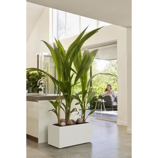 Elho Vivo Next Long 60 Flower box - White - L 59 x B 30 x H 29 cm - indoor/outdoor - 100% recycled