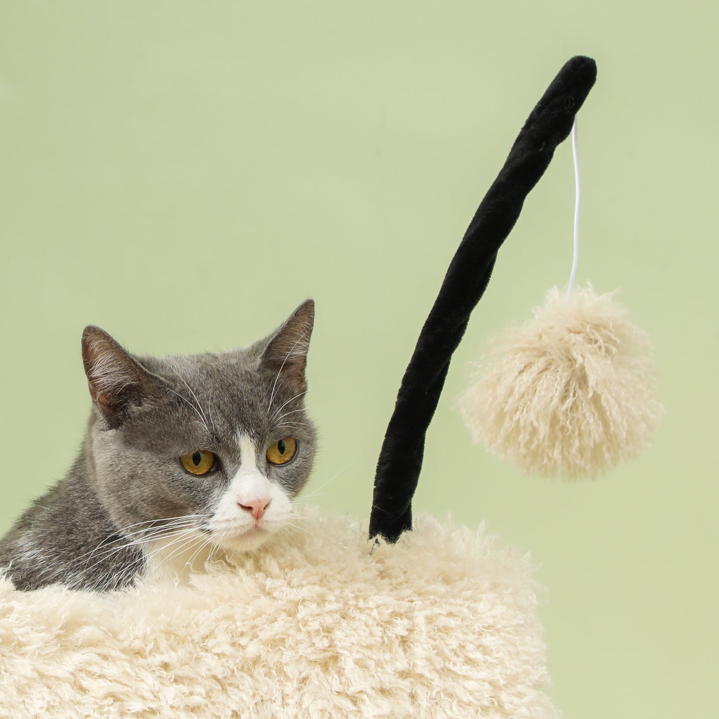 PawHut Katzenbaum im Schaf-Design, mit Kratzpfosten, Tunnel und Spielzeug, 98 cm, Hellbraun