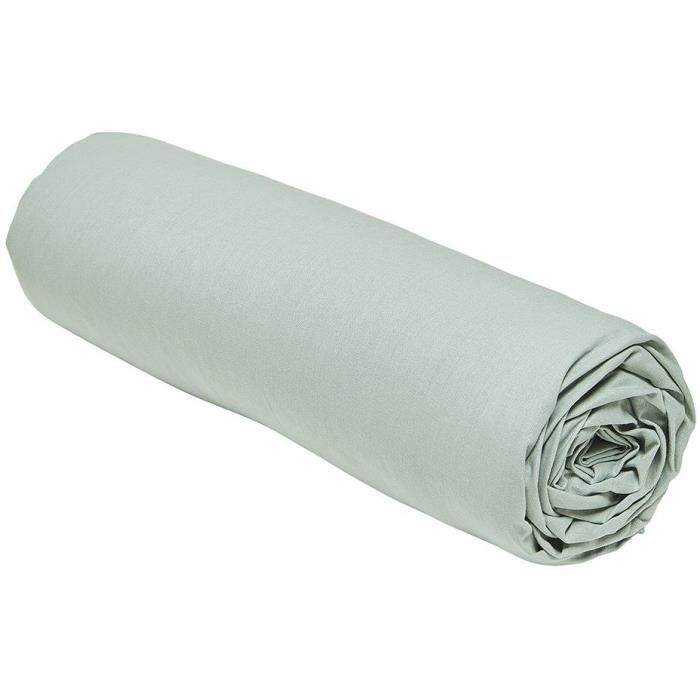 Fitted sheet - TODAY - 160 x 200 cm + 30 cm - Cotton - Organic Celadon