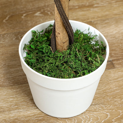 Outsunny Kunstbaum, Künstliche Pflanze im Zementtopf, Kunstpflanze