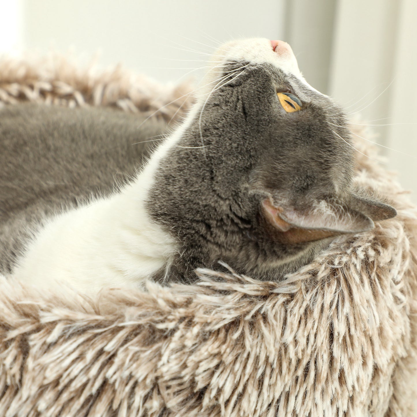 PawHut Katzenbaum, 87 cm, Katzenturm mit dickem Kratzpfosten, Plüschbett, für den Innenbereich, trägt till 6 kg, Braun