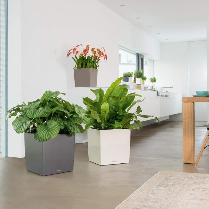 LECHUZA Cube Premium 50 flower pot - complete set, taupe glossy