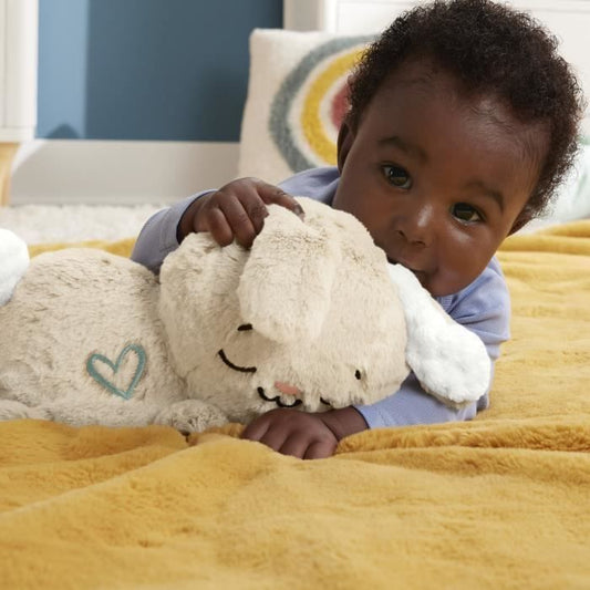 Fisher-Price-My Hug Bunny - Night Light Plush - Educational Toy - HXG97