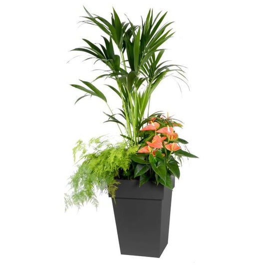 EDA Flower Pot Semi -High Tuscany - 39 x 39 x H 53 cm - 51 L - Anthracite gray