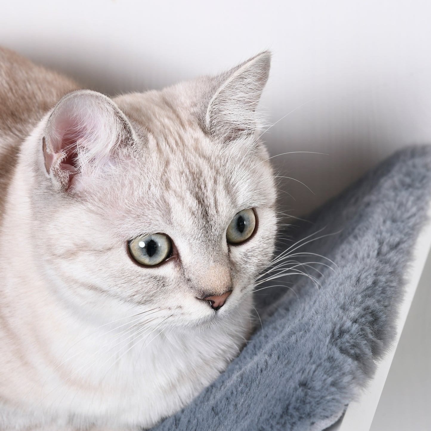 PawHut Katzenliege Katzen Wandliege Katzenbett Katzenregal Wandmontage Plüschauflage Grau 41 x 28 x 21 cm