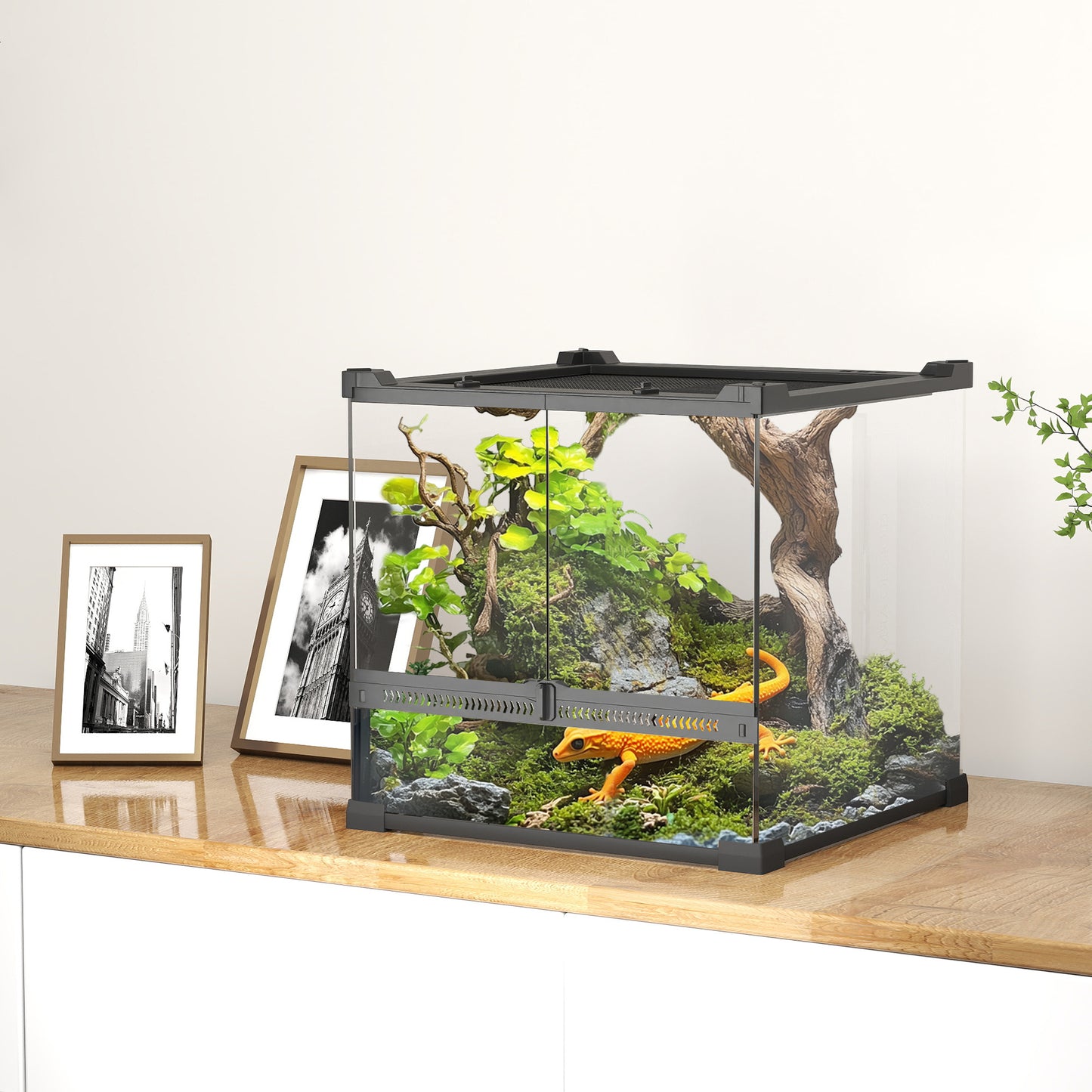 PawHut Glas-Terrarium für Reptilien, erhöhter &amp; wasserdichter Boden, Knopfschloss