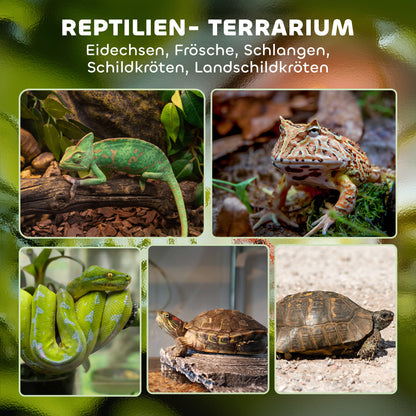 PawHut Glas-Terrarium für Reptilien, erhöhter &amp; wasserdichter Boden, Knopfschloss