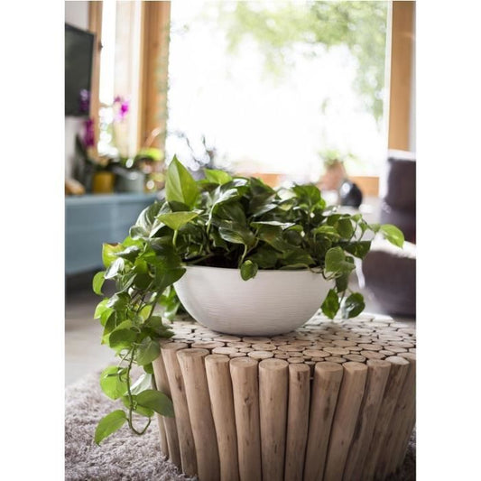 Flower jar EDA Round plastic graphit up white centered Ø 40 cm 14.9 l