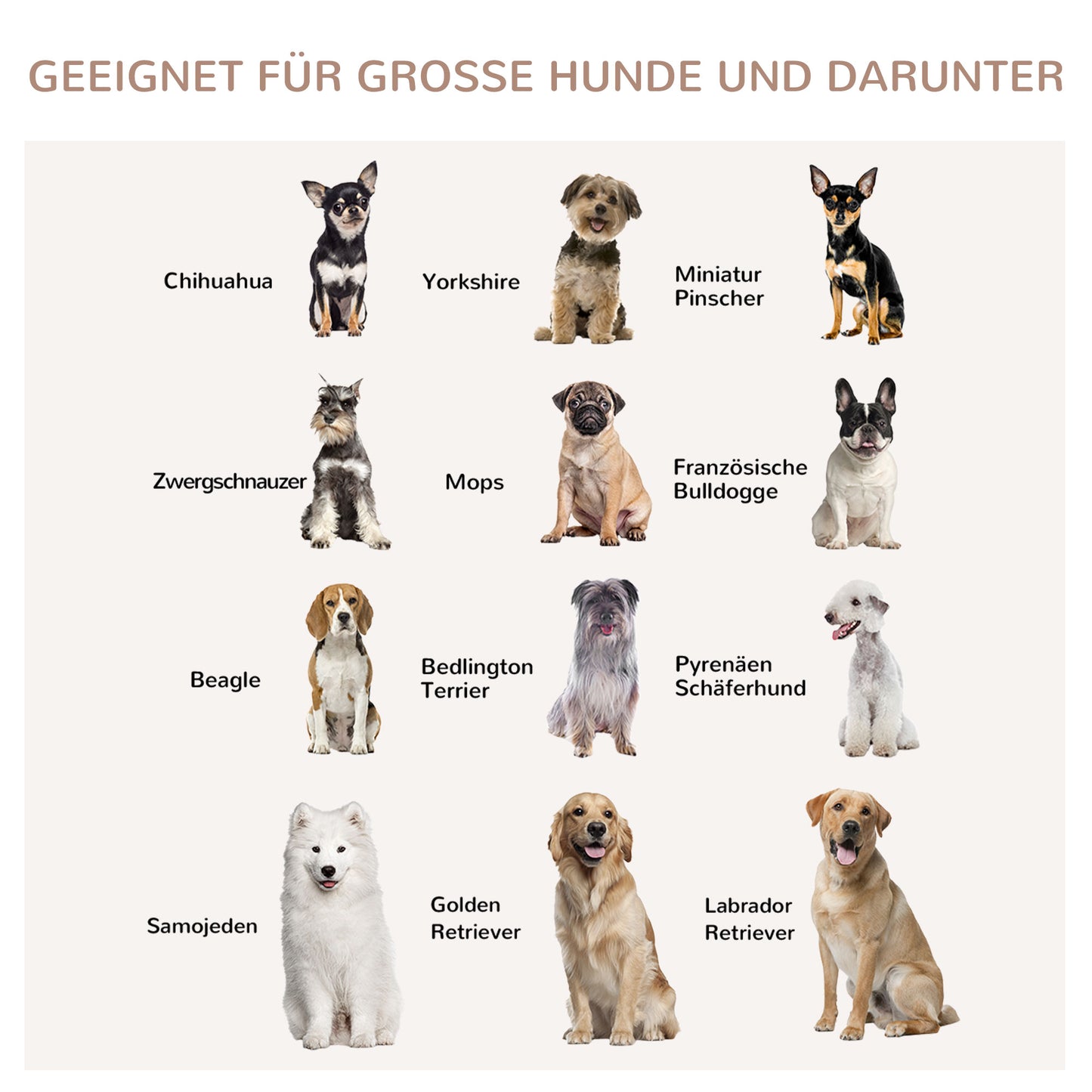 PawHut Hundebox, Hundekäfig, 1 Tür, för små och mittelgroße Hunde