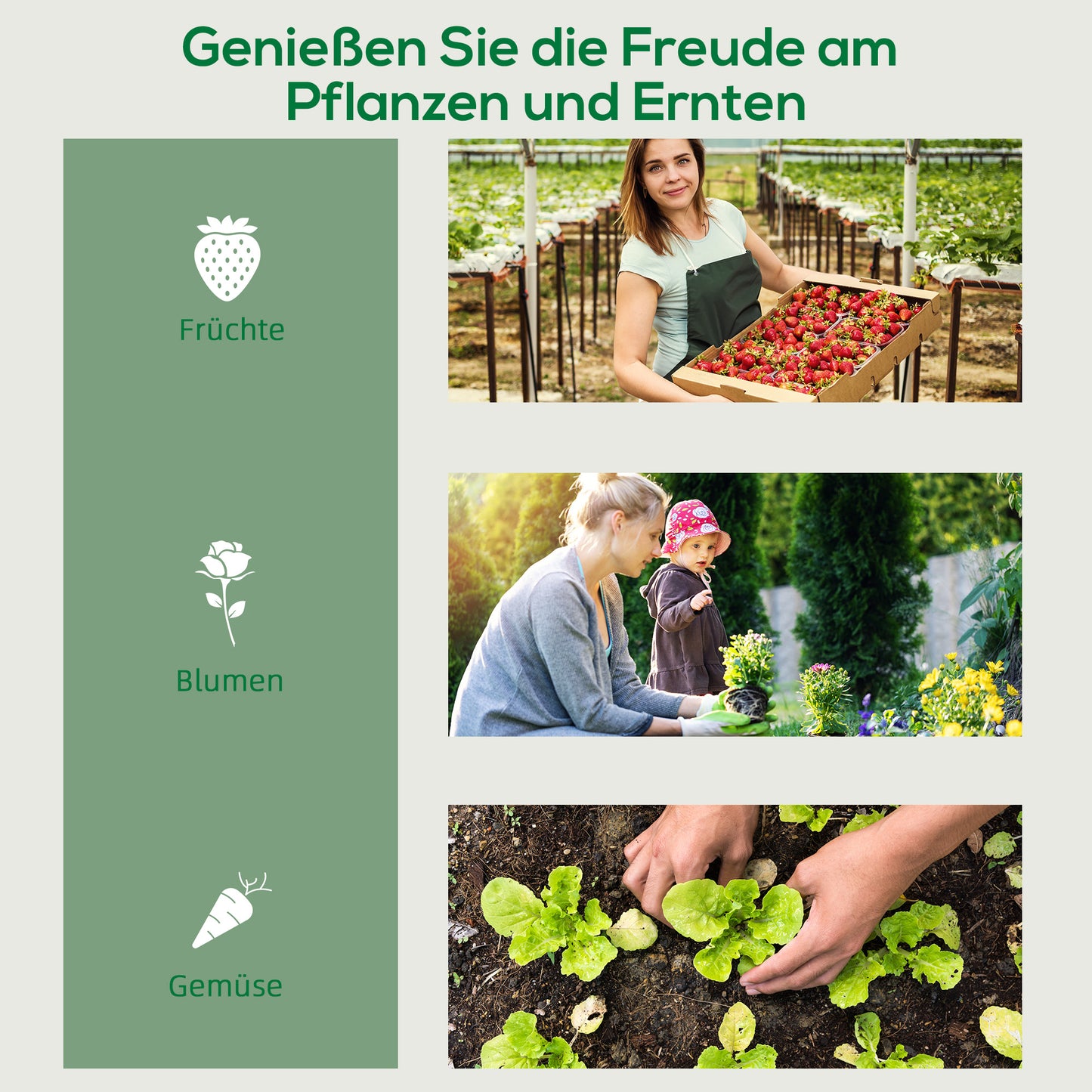 Outsunny Folien-Gewächshaus, Treibhaus, Mini-Gewächshaus, Pflanzenhaus, Frühbeet, 4 Regalfächer, 69 x 50 x 165 cm, Transparent