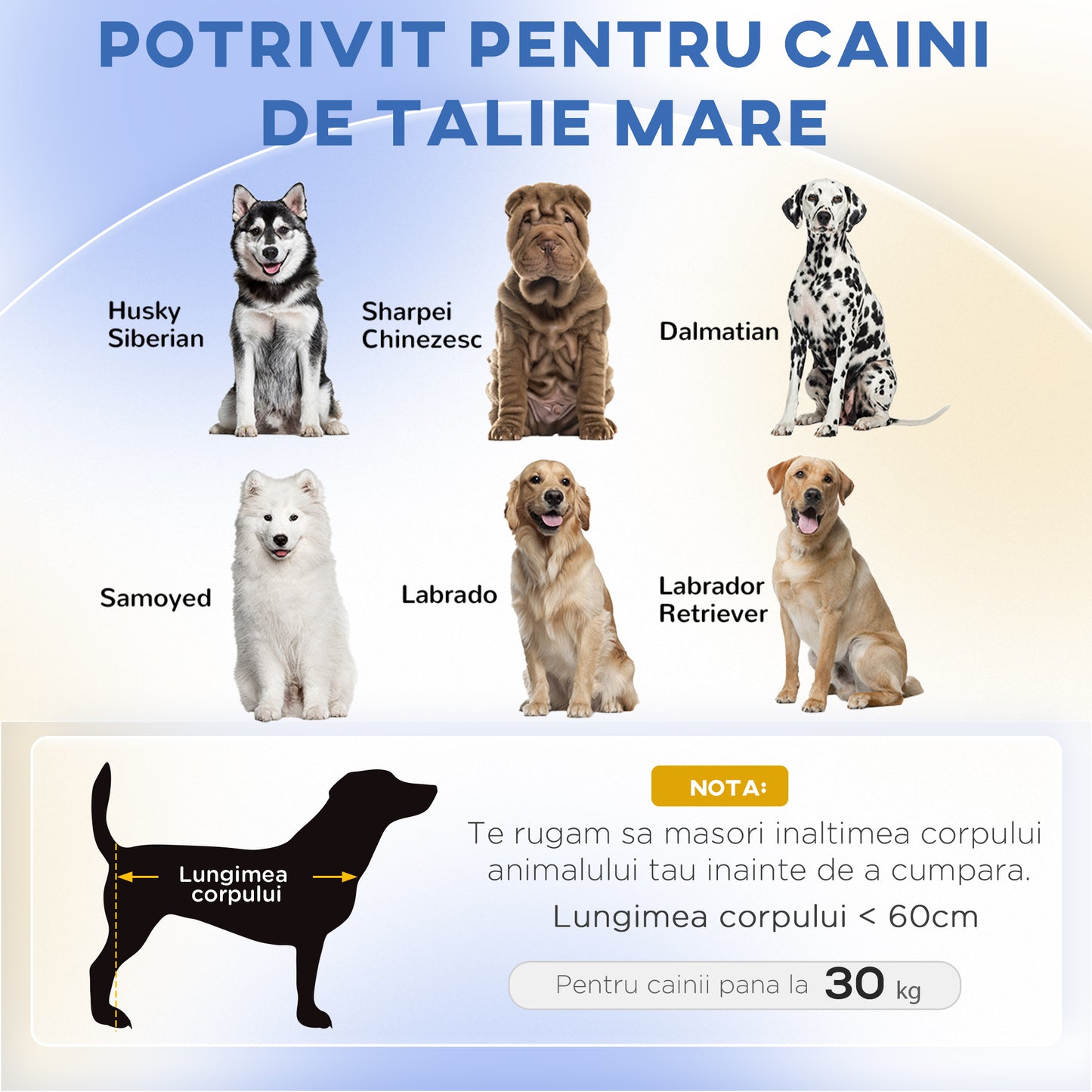 PawHut Hundebett Hundesofa Haustiersoffa, Eukolyptusholz, 98 x 67 x 25 cm, Grön