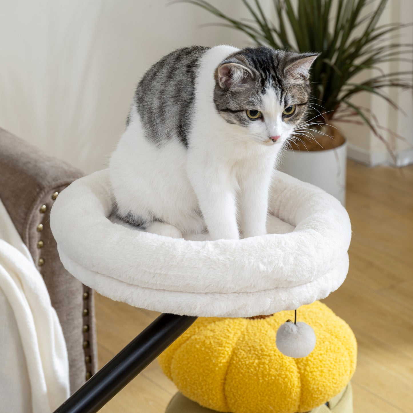 PawHut Katzen-Schreibtischbett, Katzenbett für Schreibtisch mit 360°Drehung, verstellbarer Höhe, Katzenliege mit abnehmbarem, maschinenwaschbarem Bett, für Katzen unter 6 kg, Heimbüro, Cremeweiß