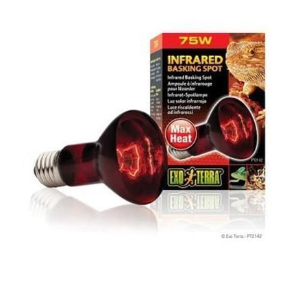 BASKING SPOT lamps infrared 75 W
