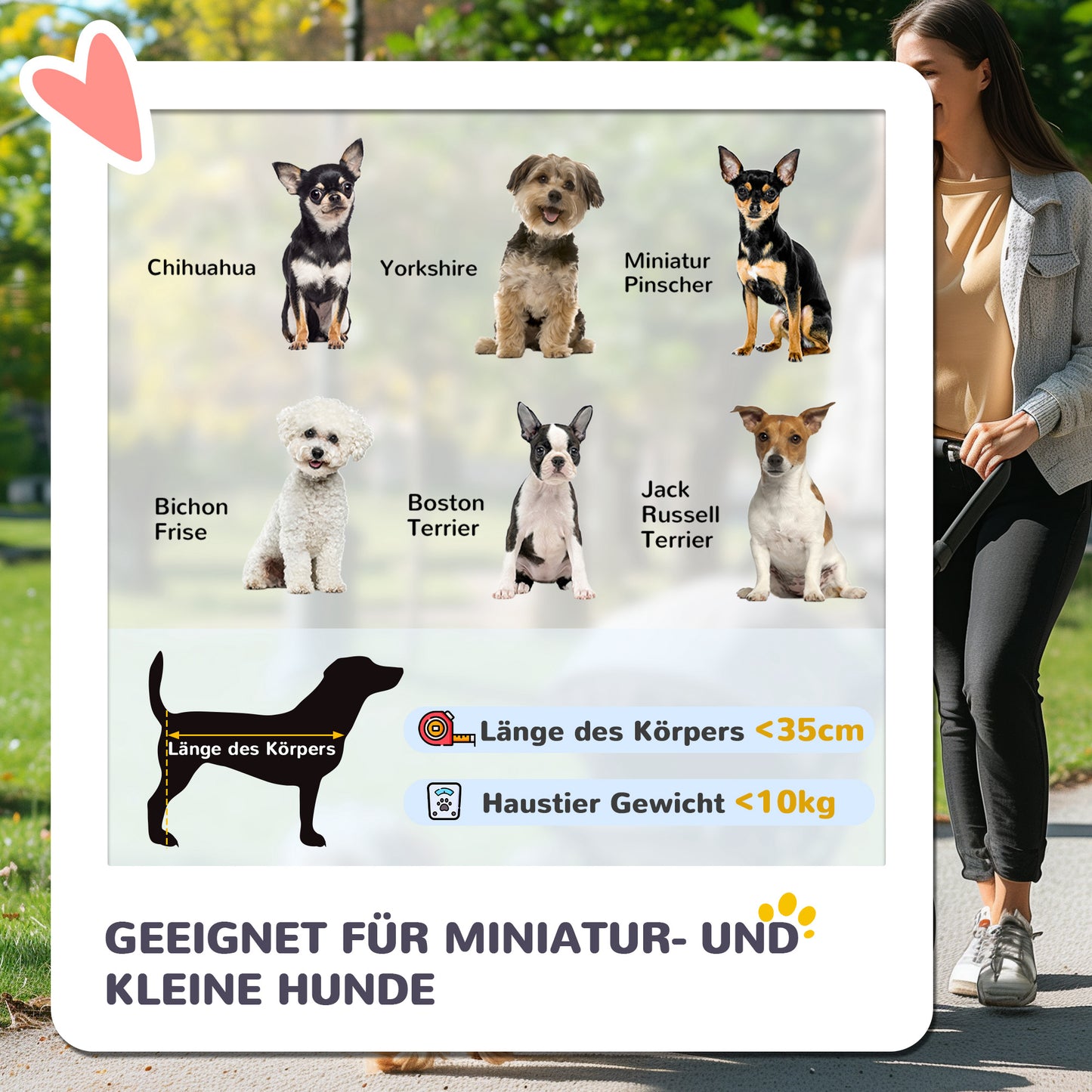 PawHut Hundewagen Hundebuggy klappbar für Hunde & Katzen bis 10 kg 75 x 45 x 97 cm Dunkelgrau