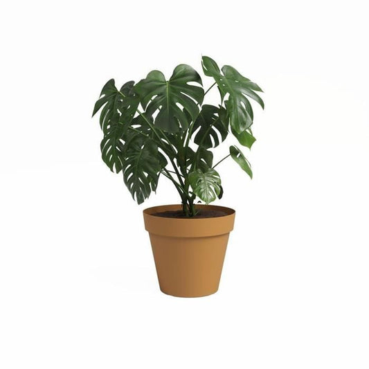 Pot - ARTEVASI - CAPRI - 40 ma - Honey yellow