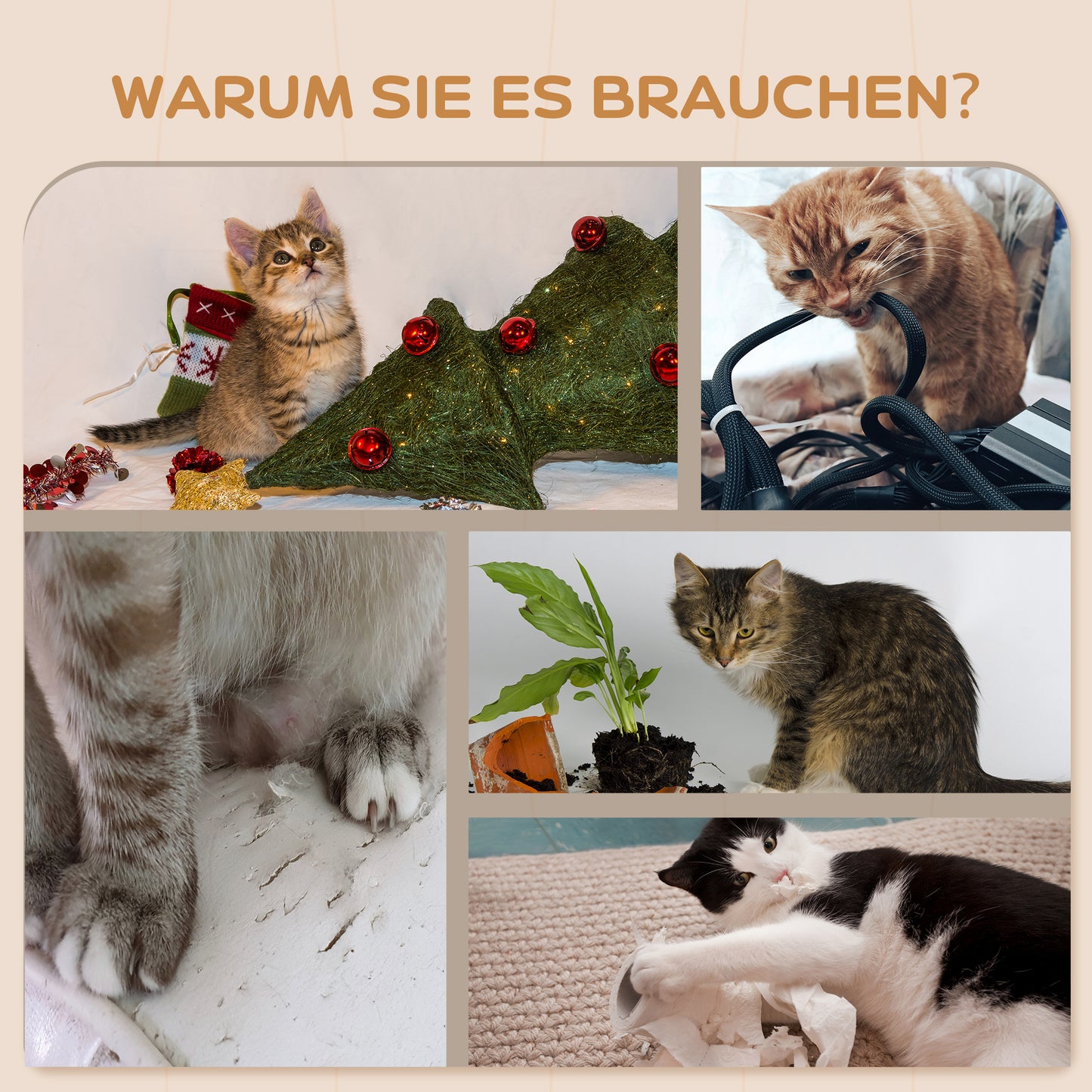 PawHut Katzentreppen-Set, Wand- och Deckenmontage, för Katzen till 5 kg, Beige