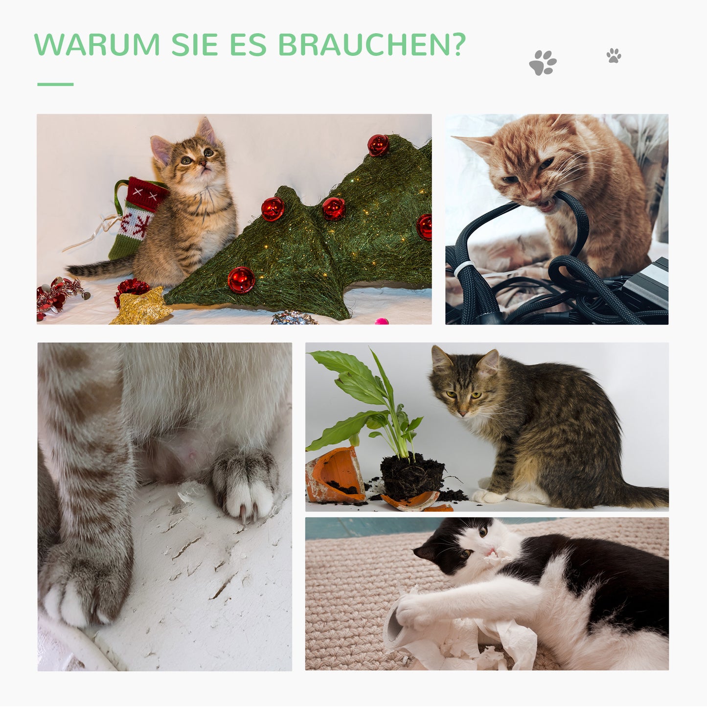 PawHut Katzen Kratzbaum Kaktus Katzenbaum Kiefernholz Sisal Seil Kratzstamm mit Holzkugel-Katzenspielzeug für Katzen 60 cm Hoch Grün+Natur