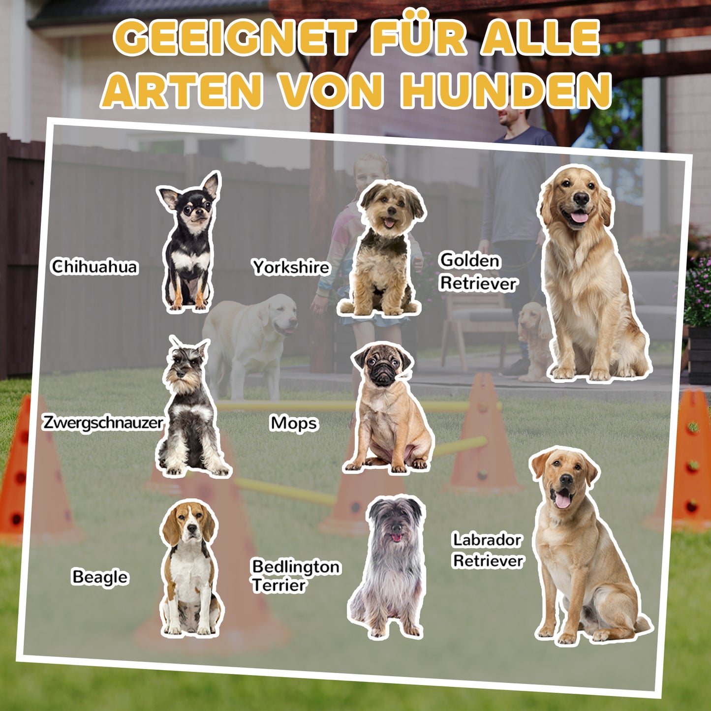 PawHut Agility Set Hunde 6-teiliges Agility-Ausrüstung för Hundetraining Steckhürdenset med 12 Kegel 6 Hürden Tragetasche