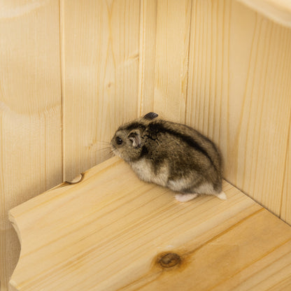 PawHut Hamsterkäfig aus Holz 5 Etagen Nagarium Nagerkäfig Kleintierkäfig mit Gitterdach Rampen, Holzkäfig Mäusekäfig groß Käfig für Hamster Zwerghamster 60 x 40 x 120 cm Naturholz