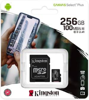 Kingston Micro SD 256GB Classe 10 SDCS2/256GB + Adattatore SD