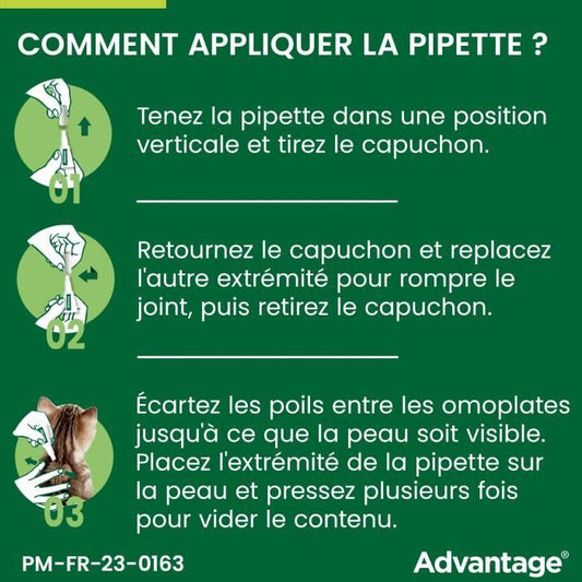 Advantage antipuce rabbit chat solution 1 to 4kg 6 pipettes