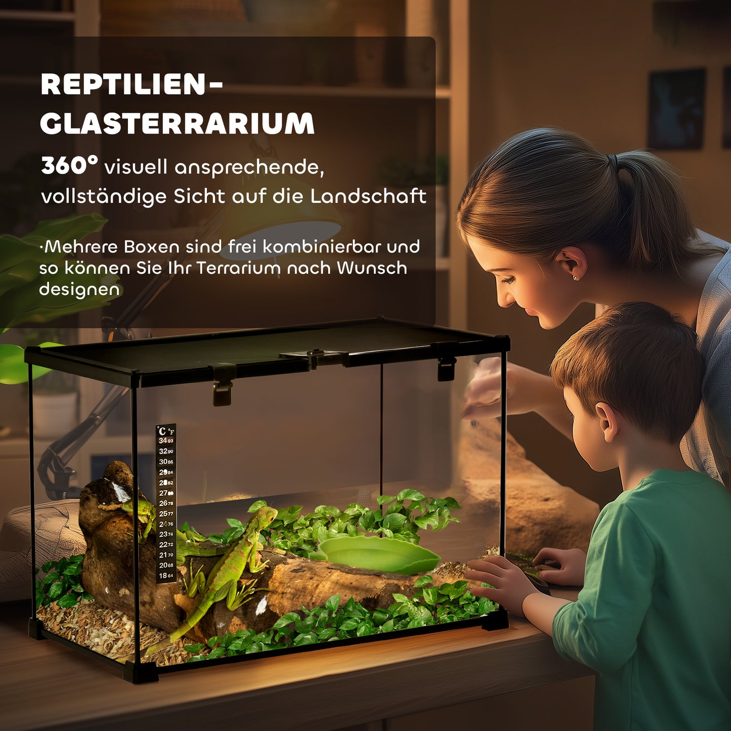 PawHut Terrarium für Reptilien Reptile Fütterungsbox Glasterrarium Amphibien Spinnentiere mit Termometer Reptiliensuchtbox Metall Schwarz 50 x 30 x 35 cm