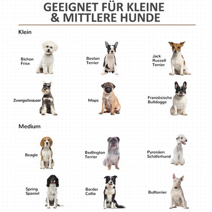 PawHut Hundekäfig aus Holz, Hundebox, Transportbox, mit Kissen, 86 cm x 60 cm x 70 cm Holzwerkstoff Stahl Weiß + Grau