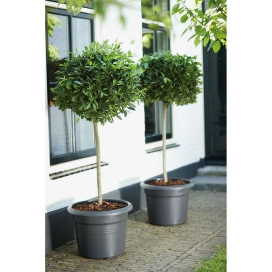Elho Green Basics Cilinder 65 flower box - Black - Ø 64 x H 49 cm - outdoor - 100% recycled