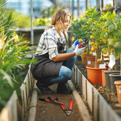 Outsunny Heckenschere Set 3-teilig Gartenschere Astschere mit Stahlklingen, Griff