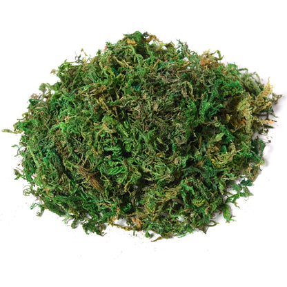 Outsunny Künstlicher Ficus-baum groß 145 cm, Kunstbaum, Kunstpflanze, Plastik Künstliche Pflanzen im Topf, Fake Plant wie echt für Wohnzimmer Schlafzimmer Büro Garten Moderne Dekoration Geschenk