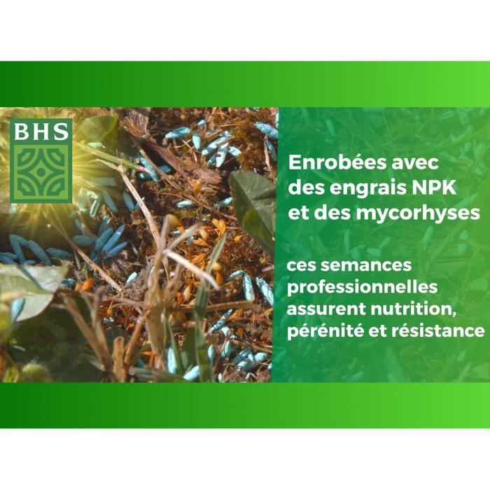 English Turf - BHS - 10kg for High-End Gardens