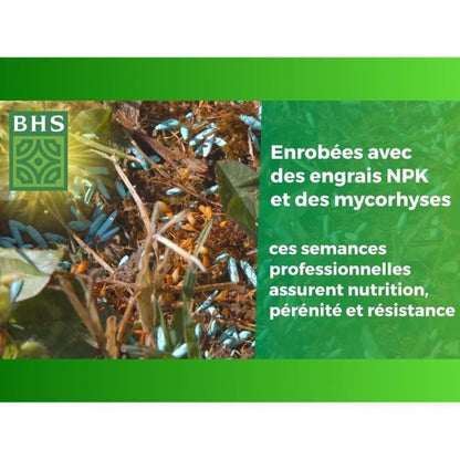 English Turf - BHS - 10kg for High-End Gardens