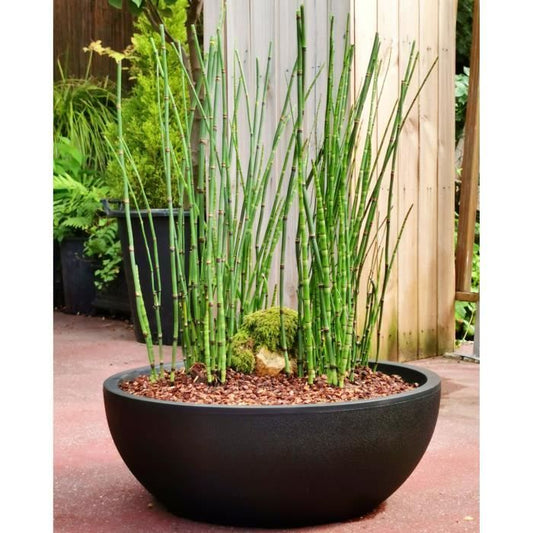 Riviera - Flower pot cut - Granite D40 - Black