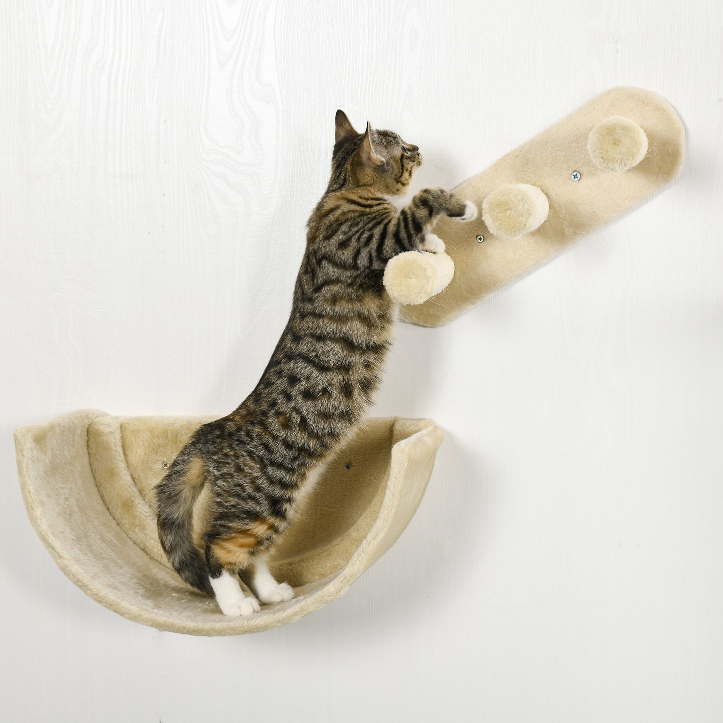 PawHut Kletterwand-Set för Katzen, 4-teilig, mit Katzentreppe, Hängematte, Plattform och Kratzbaum, Beige