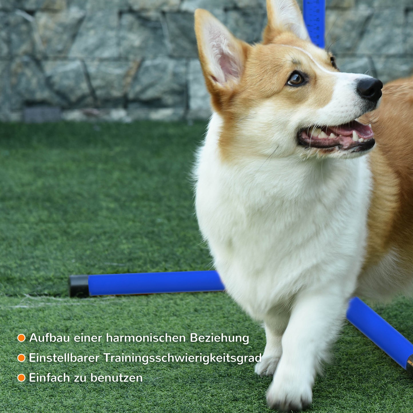 PawHut Agility Set Hunde 4-teiliges höhenverstellbar Agility-Ausrüstung Sprungstangen-Set Steckhürdenset med 4 Hürden Tragetasche Koordinationsträning Sprungstangen-Set för Spiele Training