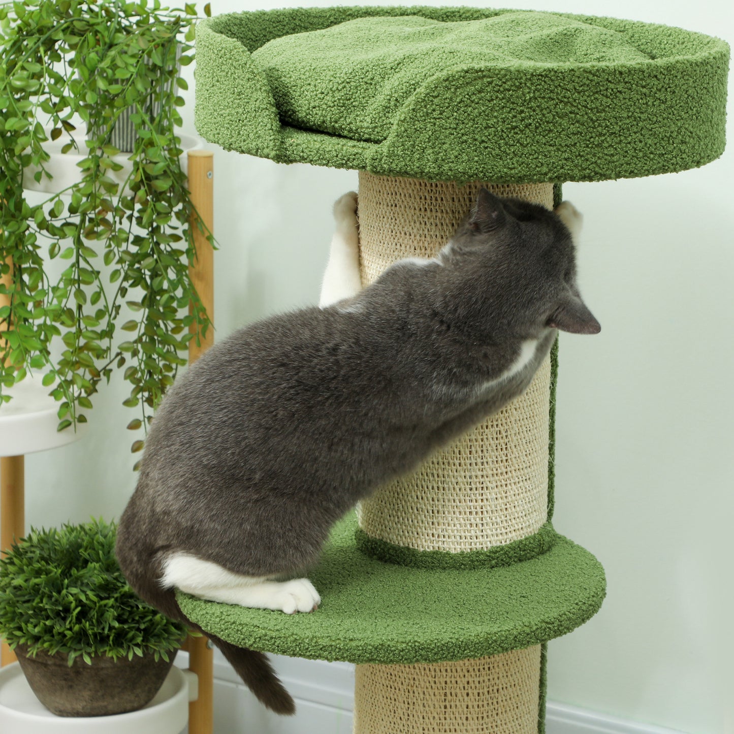 PawHut Katzenbaum 91cm Spielbaum mit Katzenbett, Plattform Lammwolle Grün