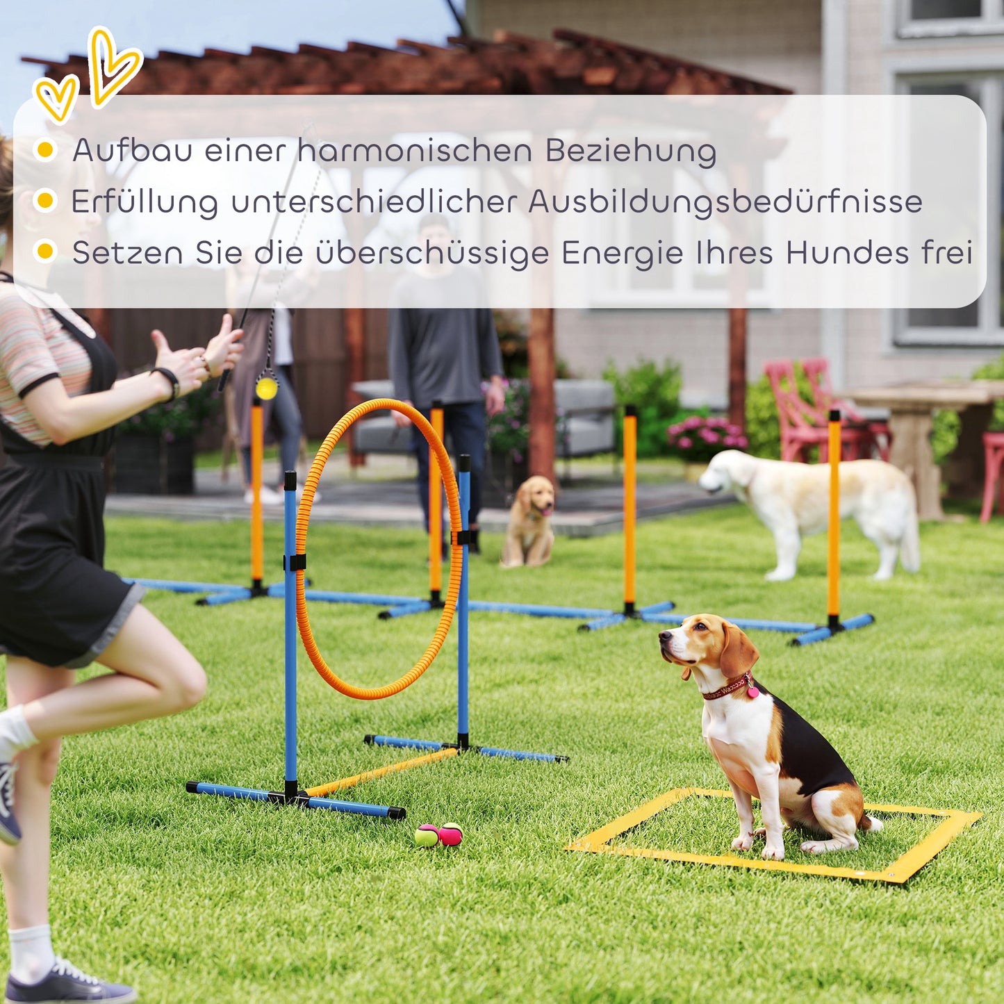 PawHut Agility Set Hunde 7-teilig Agility-Ausrüstung für Hundetraining Steckhürdenset für Spiele Training