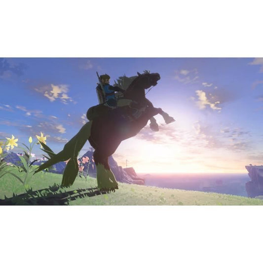 The Legend of Zelda: Tears of the Kingdom - Standard edition | Nintendo Switch game