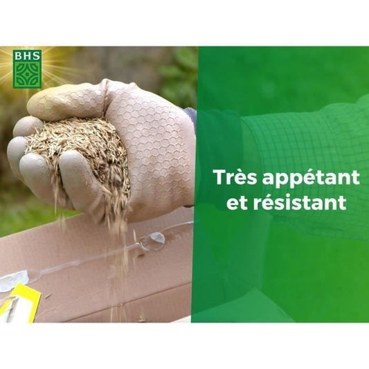 Lawn - BHS - Espace Nature 1kg | 40m² | Rich in protein, fast, homogeneous | Outdoor animal welfare.