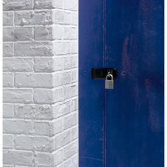 MASTERLOCK Padlock brass nickel 40mm hexagonal handle