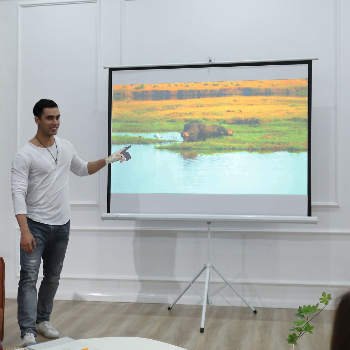 HOMCOM Projektionsleinwand im 4:3-Format, Kinoleinwand, Präsentationsfläche für Zuhause oder Büro, Weiß