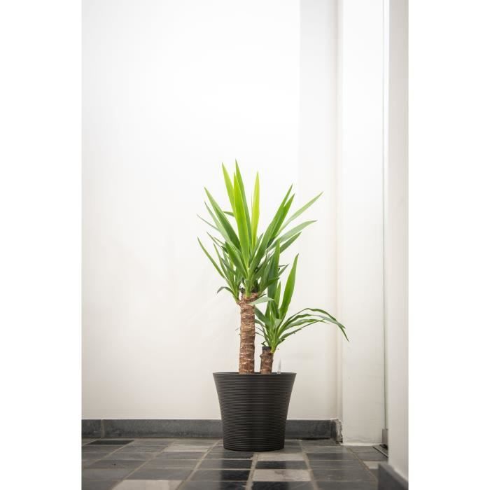Flowerpot - GARDEN ID - Green Care Sense Black-Anthracite - 30 x 27 cm - 10 year warranty - 100% recycled - UV and frost resistant