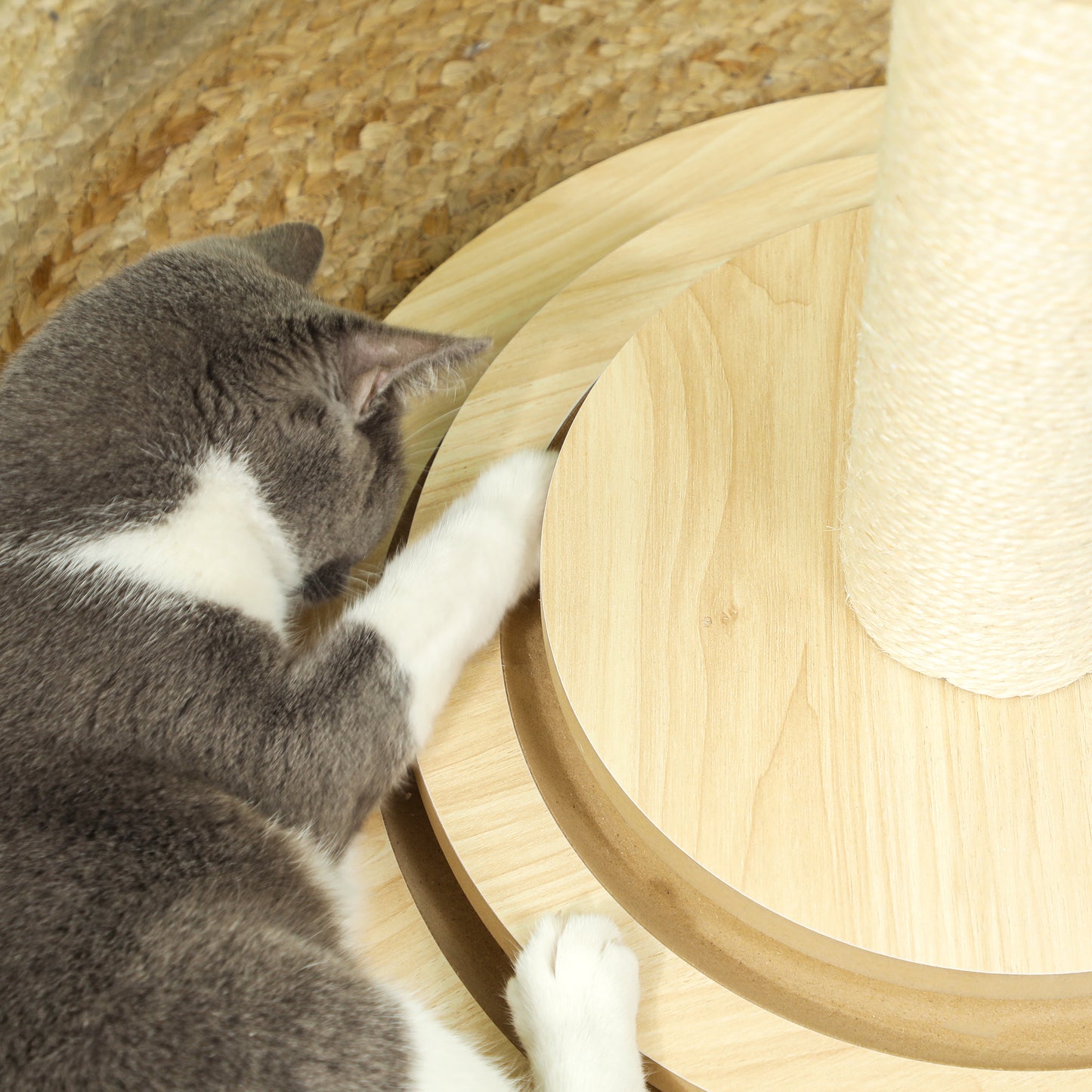 PawHut Katzenkratzbaum, 69 cm, Sisal-Kratzpfosten, Kugelbahn, Spielball, Spielfeder, 4-in-1-Design, Cremeweiß