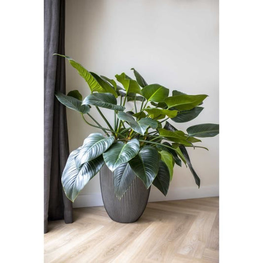 Elegant low vase - CAPI EUROPE - GROOVE NL - 34 x 46 cm - Anthracite