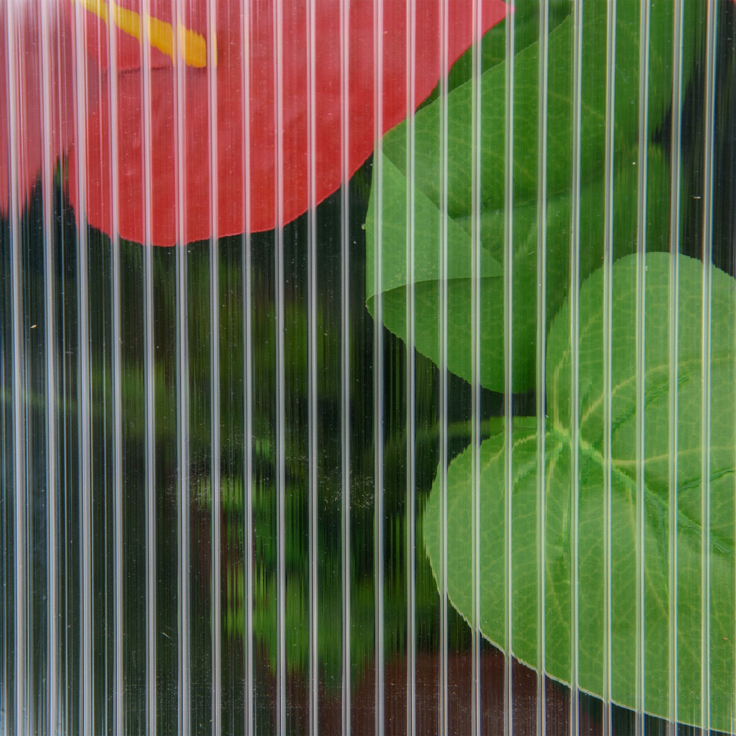 Outsunny Mini-Gewächshaus, Kompaktes Pflanzenhaus aus Holz, Polycarbonat-Platten, Belüftungsöffnung, 90L x 52B x 49,5H cm, Grau