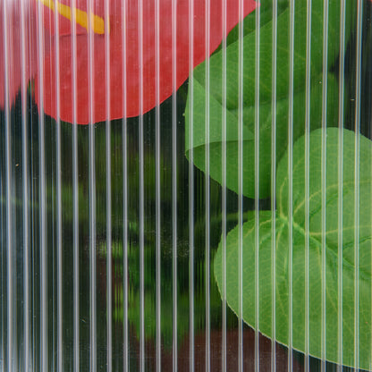 Outsunny Mini-Gewächshaus, Kompaktes Pflanzenhaus aus Holz, Polycarbonat-Platten, Belüftungsöffnung, 90L x 52B x 49,5H cm, Grau