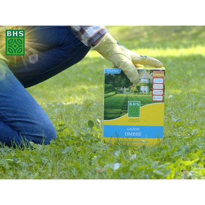 Lawn - BHS - Shade Lawn 1kg | 40m² | Resistant to low light and shaded areas.